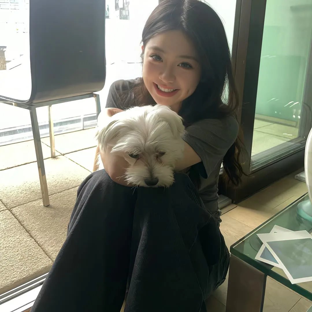 埃默里维尔实验