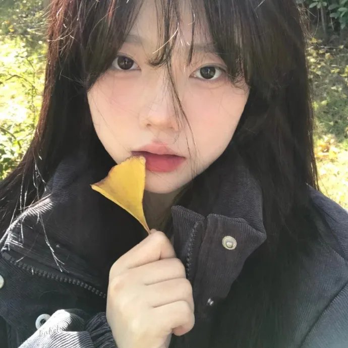 亲爱的总统夫人